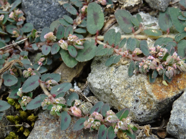 f0231709_16503313.jpg