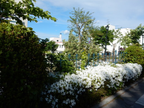 d0200811_21292967.jpeg