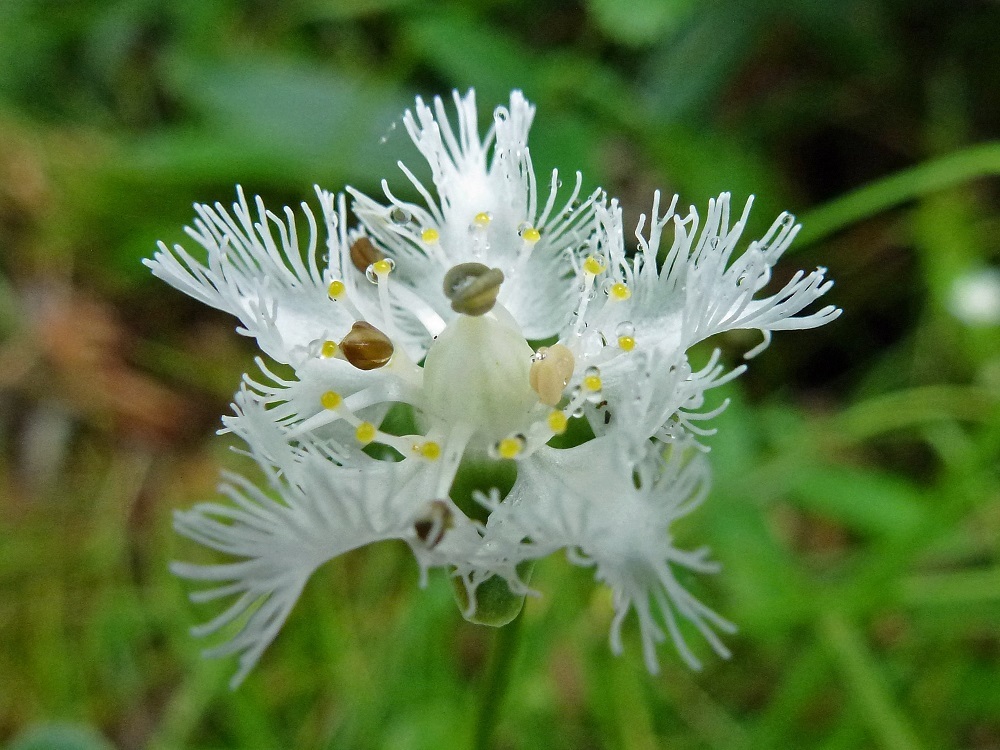 c0042418_10553670.jpg
