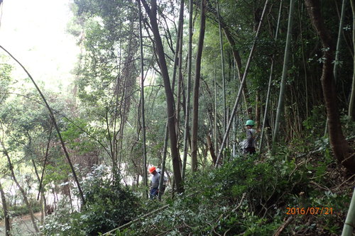 e0138321_1105244.jpg