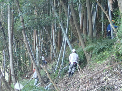 e0138321_11124030.jpg