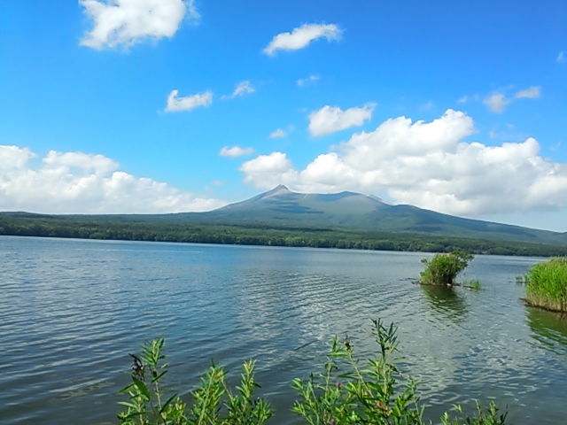 b0082125_11130012.jpg
