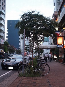 a0148431_13014377.jpg