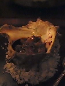 a0148431_13185815.jpg