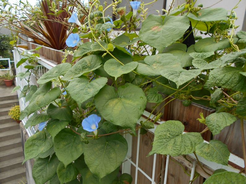 f0088731_2313181.jpg