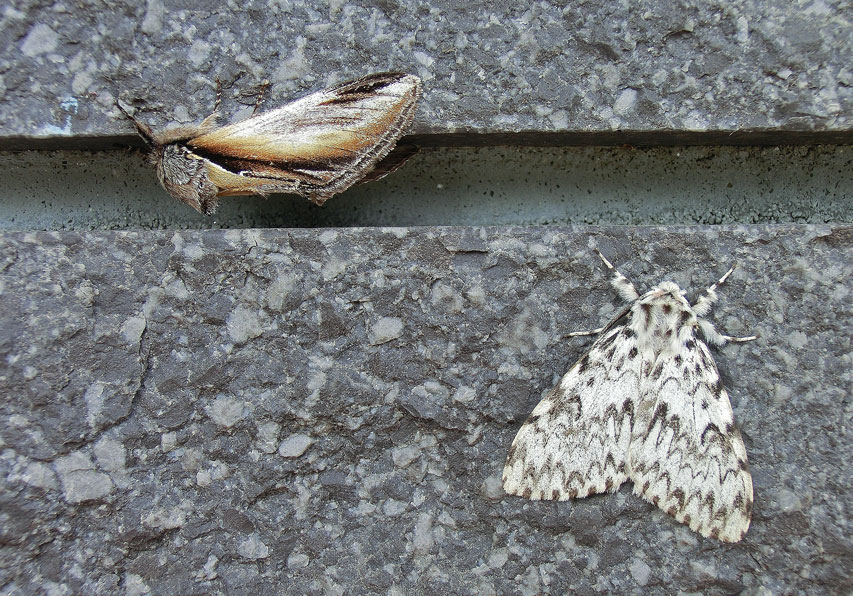 a0126632_1346714.jpg