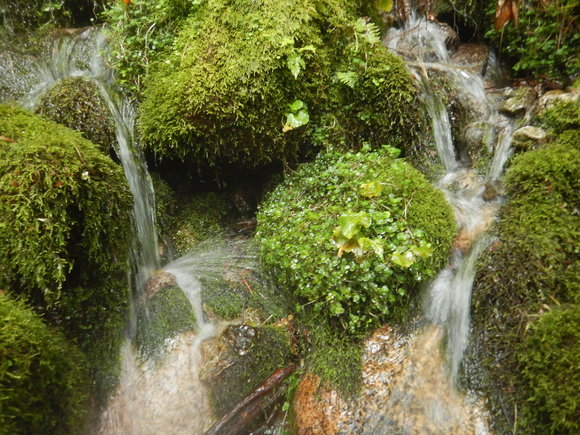 f0118332_23594675.jpg