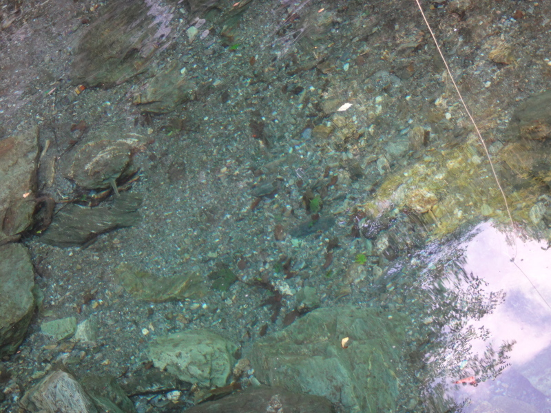 a0156834_22371455.jpg