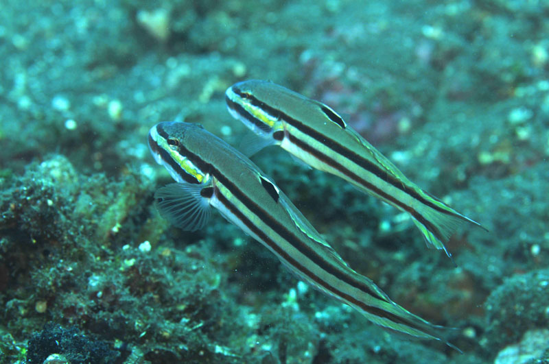 b0042837_636950.jpg