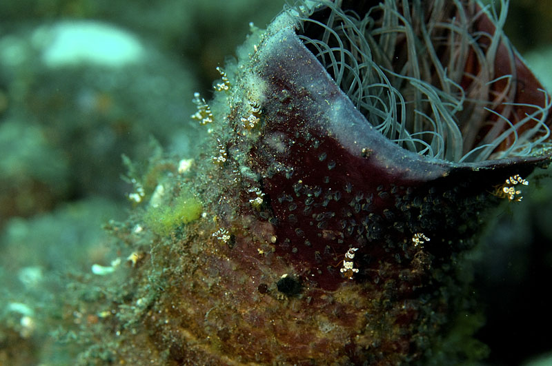 b0042837_637749.jpg