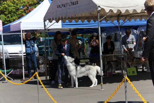 c0265837_22203647.jpg