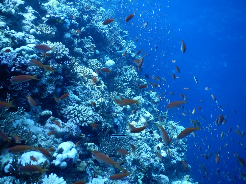 d0142944_13594617.jpg
