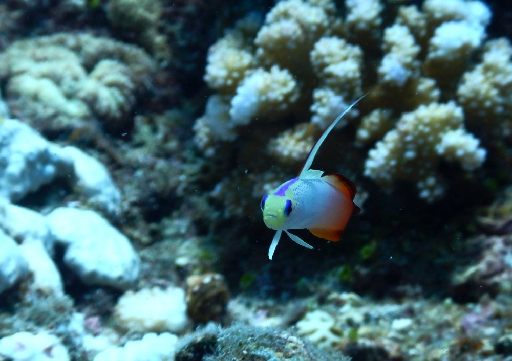 d0142944_13594664.jpg