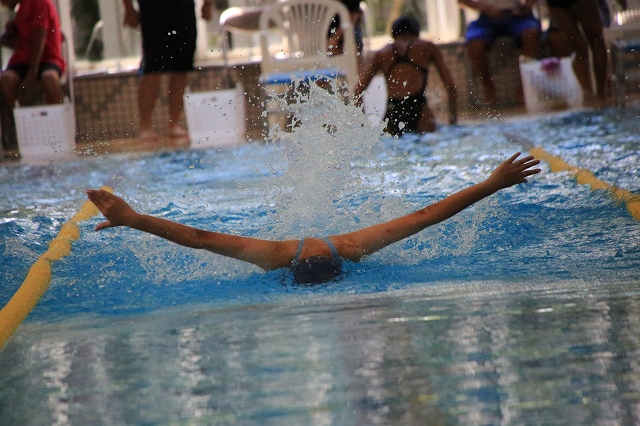 f0288049_871717.jpg