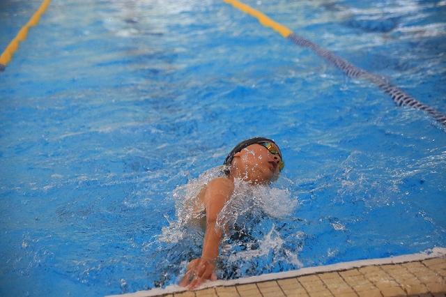 f0288049_87387.jpg