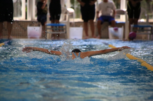 f0288049_875139.jpg