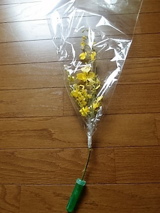 c0354352_20492990.jpg