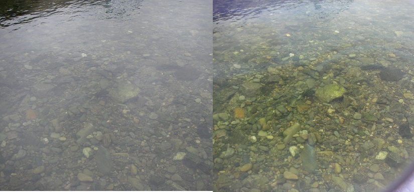 a0130057_22444410.jpg