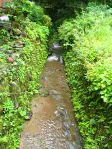 b0079965_15495553.jpg