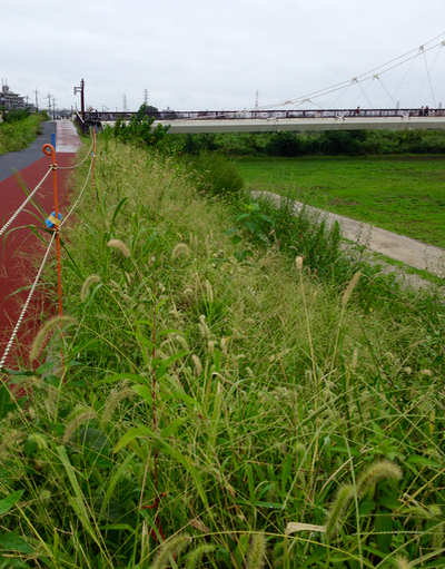 c0040472_16491162.jpg