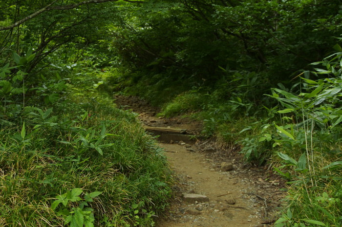e0307372_11135075.jpg