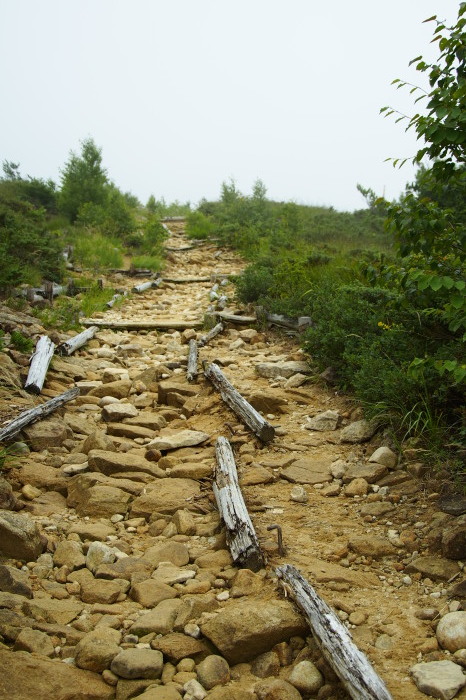 e0307372_11312394.jpg