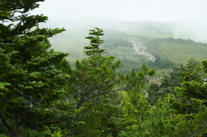 e0307372_11563253.jpg