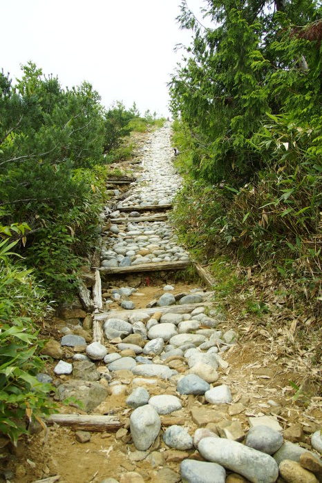 e0307372_11564999.jpg