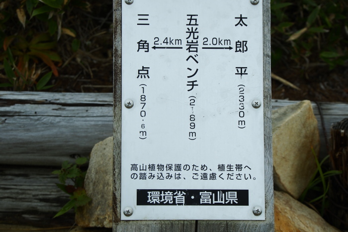 e0307372_12040537.jpg