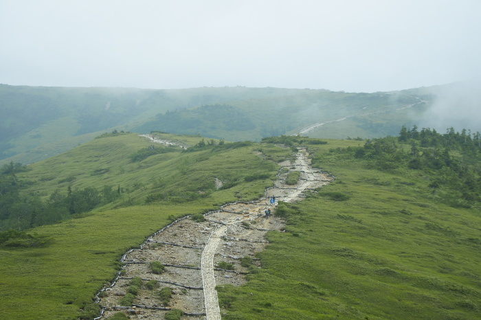 e0307372_12121913.jpg