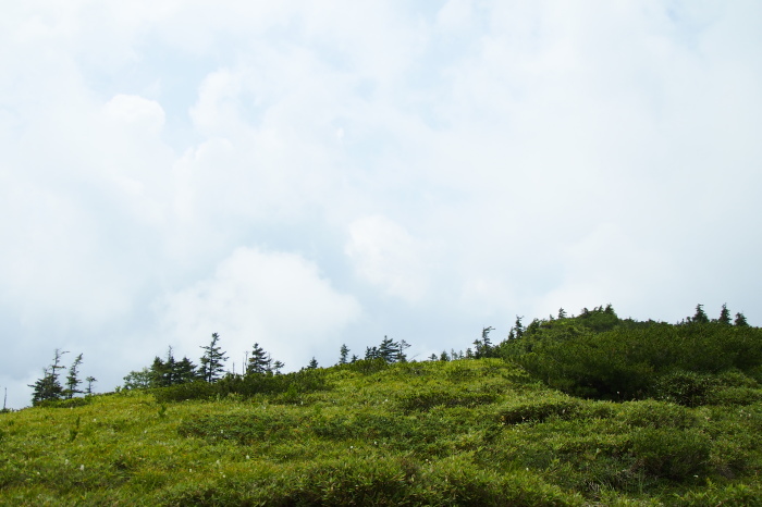 e0307372_12152235.jpg