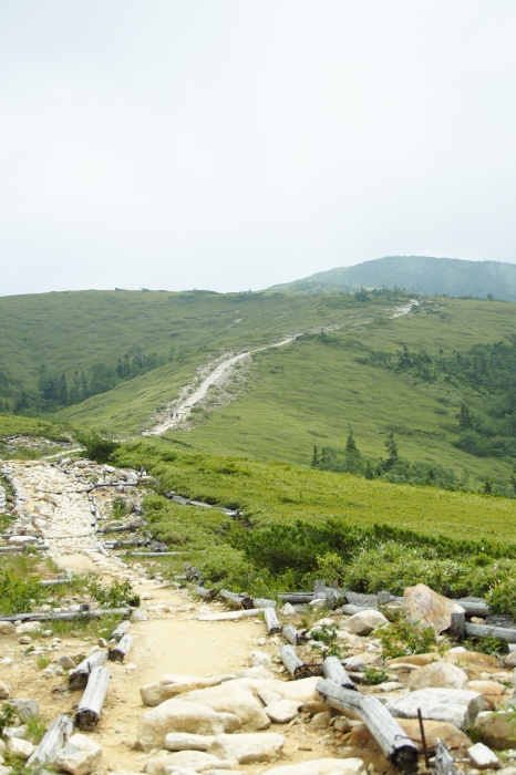 e0307372_12154415.jpg
