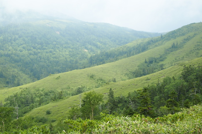 e0307372_12164986.jpg