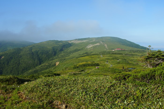 e0307372_14030994.jpg