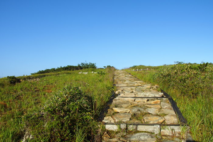e0307372_14112479.jpg