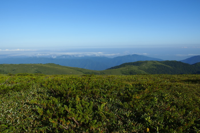 e0307372_14163117.jpg