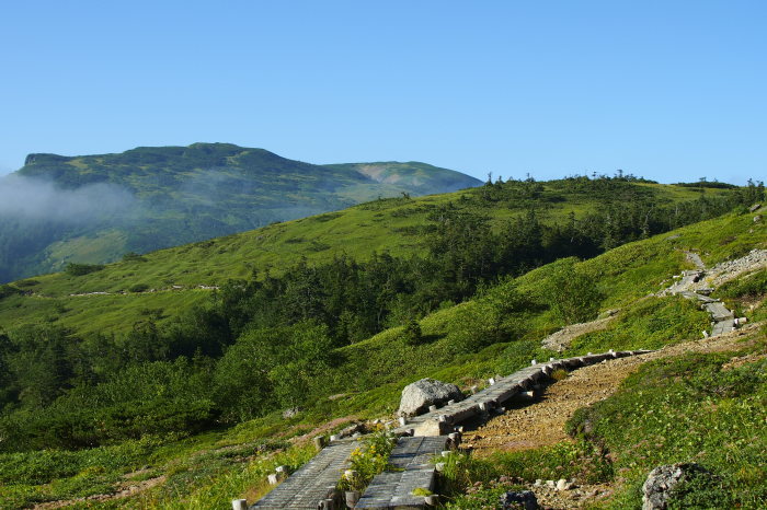 e0307372_15150215.jpg