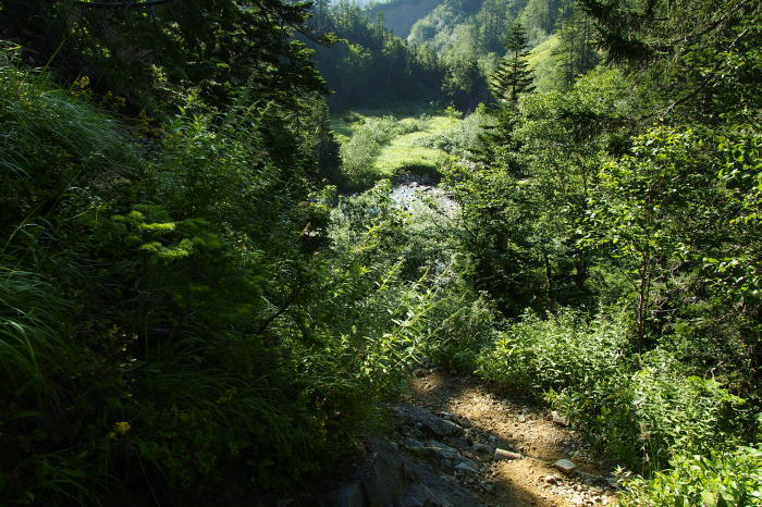 e0307372_15415106.jpg