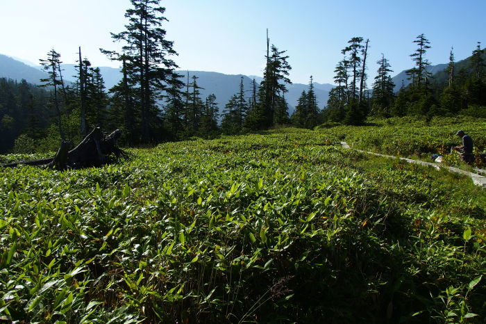 e0307372_18385778.jpg