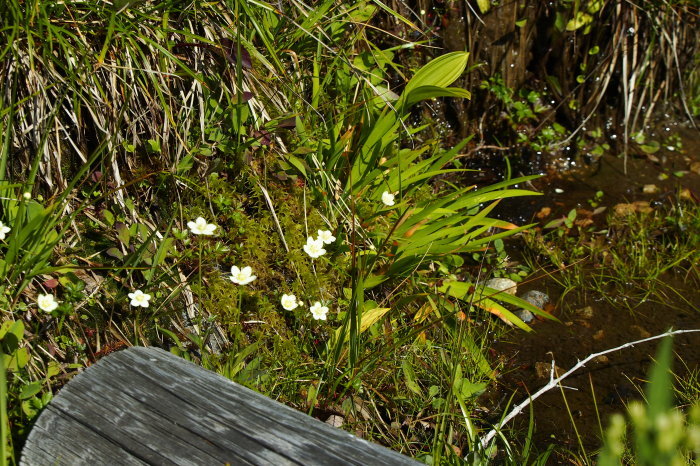 e0307372_20295438.jpg