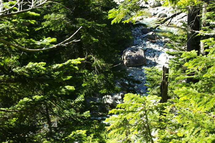 e0307372_20411084.jpg