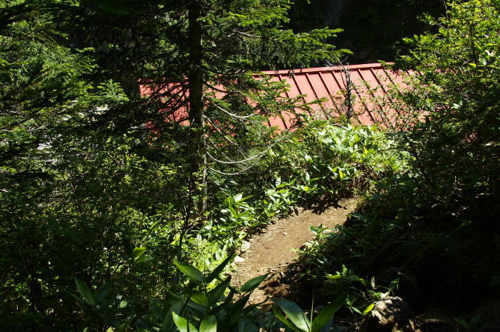 e0307372_20532766.jpg