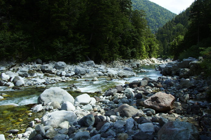 e0307372_21365174.jpg