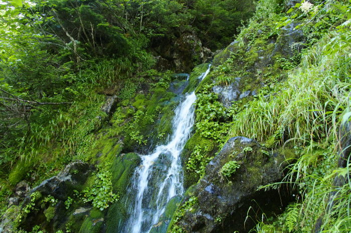 e0307372_21392027.jpg
