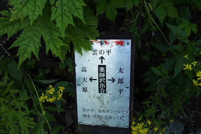 e0307372_21394471.jpg