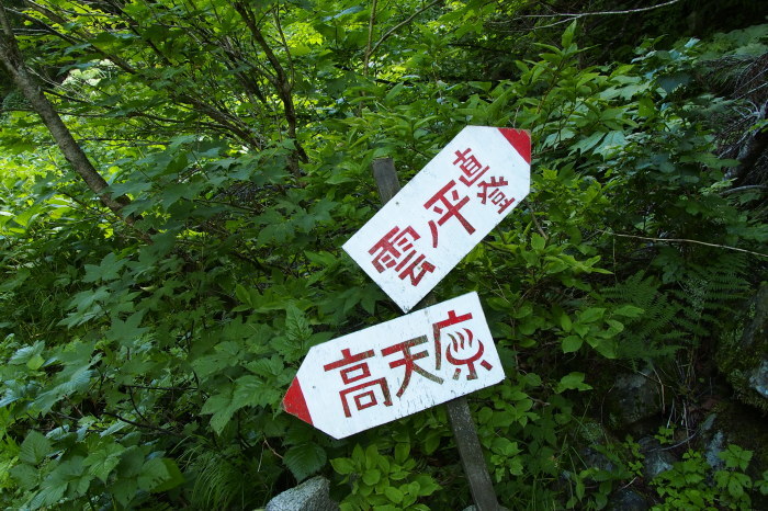 e0307372_21405368.jpg