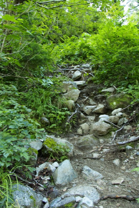 e0307372_21451240.jpg