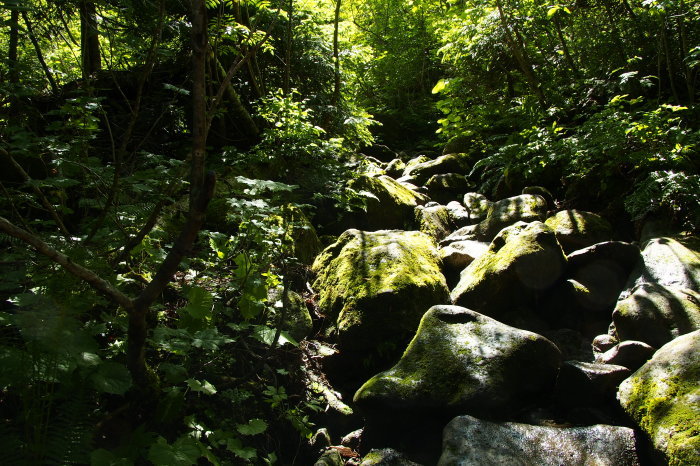e0307372_21464512.jpg