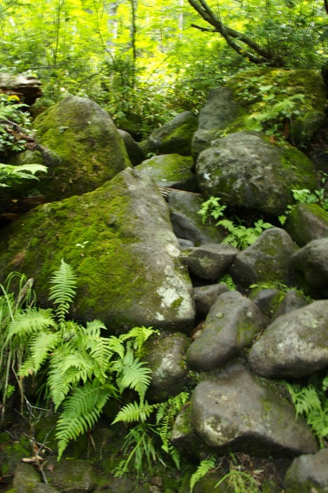 e0307372_21470125.jpg