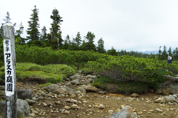 e0307372_21582671.jpg